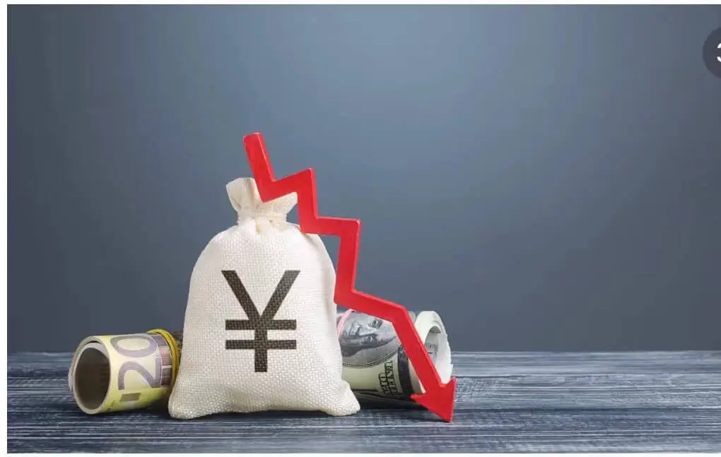 午间美食做法视频