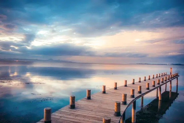 美食菱角家常做法