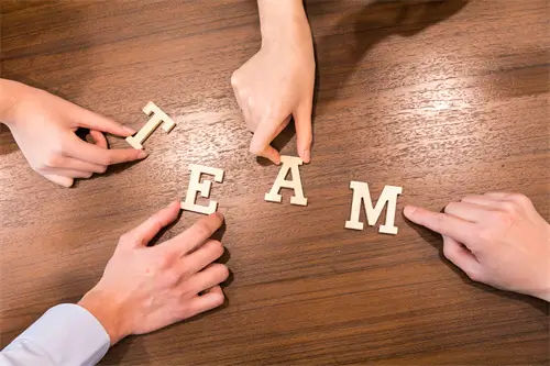 太阳杏美食做法