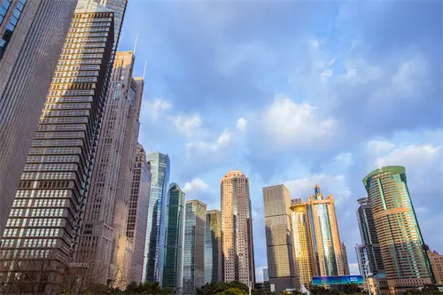 带鱼和巴沙鱼哪个好