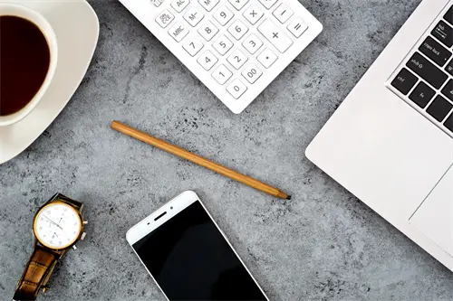 豆子和玉米哪个营养