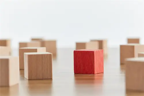 美食做法教程焖饭