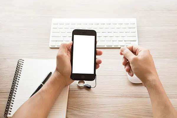 羊腿和羊排哪个贵