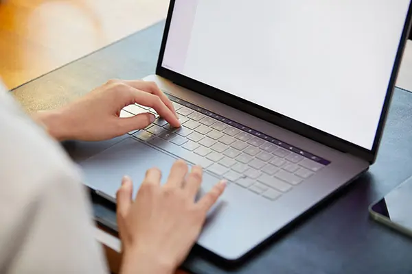 农村美食芸豆做法